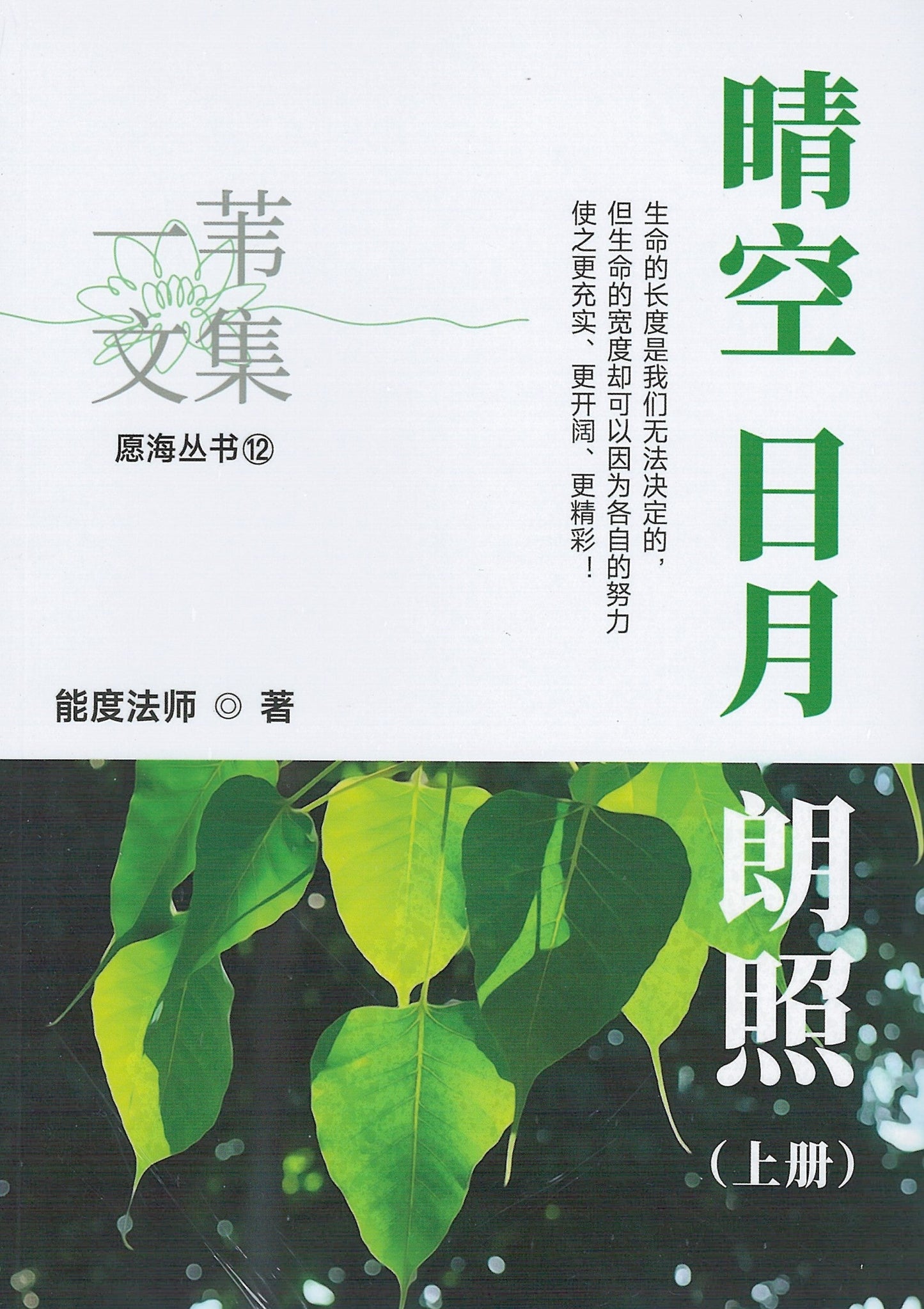 Book cover of 晴空日月朗照(上下两册) by 能度法师