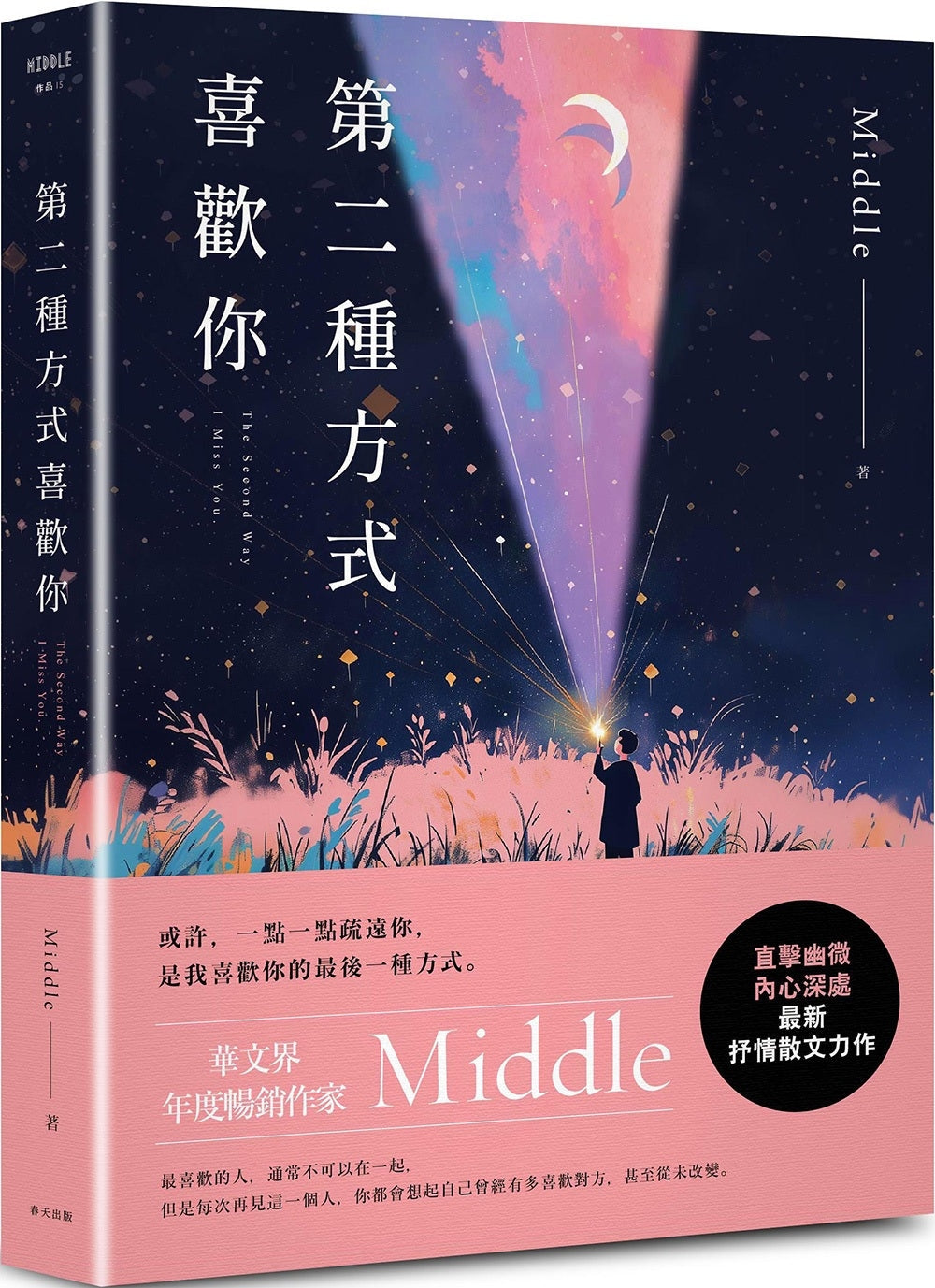 Book cover of 第二种方式喜欢你 by Middle