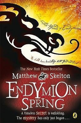 Book cover of Endymion Spring by Matthew Skelton