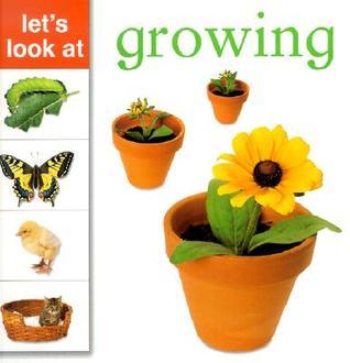 Book cover of Let's Look At: Growing by Lorenz Editors