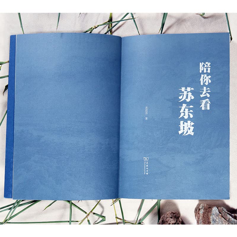 Book cover of I'll Accompany You To See Su Dongpo by YI RUO FEN