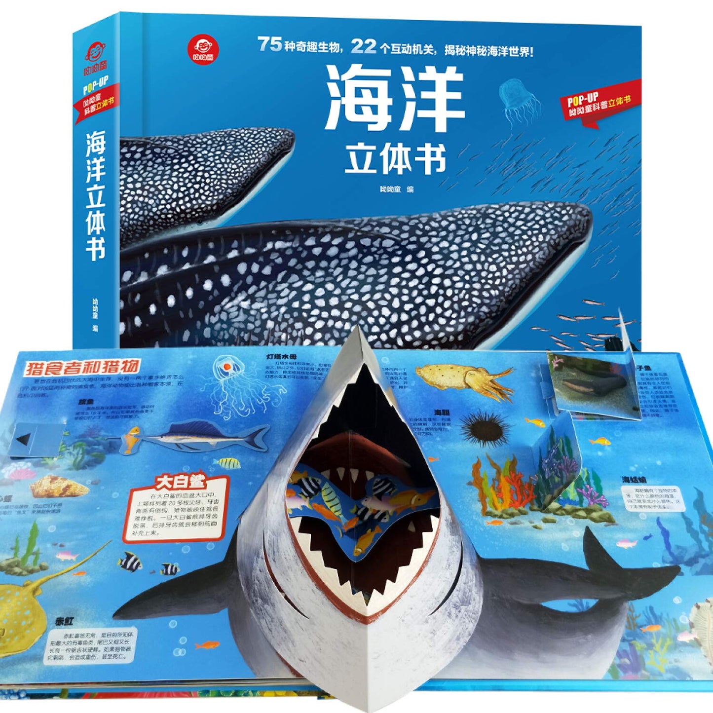 Book cover of 海洋立体书(精)/POP-UP呦呦童科普立体书 by 呦呦童