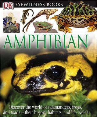 Book cover of Amphibian by Barry Clarke
