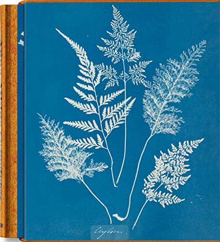 Book cover of Anna Atkins: Cyanotypes by Peter Walther (Ed.)