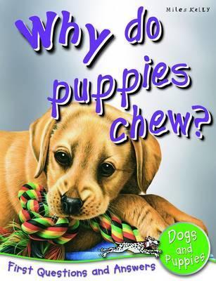 Book cover of Why Do Puppies Chew? by Camilla de la Bédoyère
