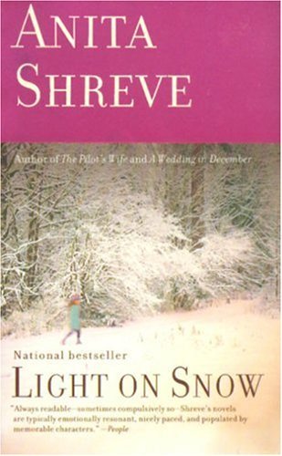 Book cover of Light On Snow by Anita Shreve