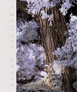 Book cover of Biology: The Unity and Diversity of Life by Cecie Starr, Ralph Taggart (Joint Author)