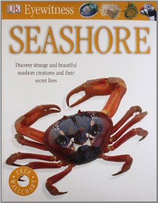 Book cover of Seashore by D.K. Publishing