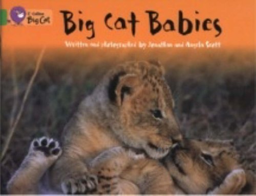 Book cover of Big Cat Babies: Band 05/Green by Angela Scott, Jonathan Scott, Cliff Moon (Ed.)