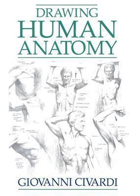 Book cover of Drawing Human Anatomy by Giovanni Civardi