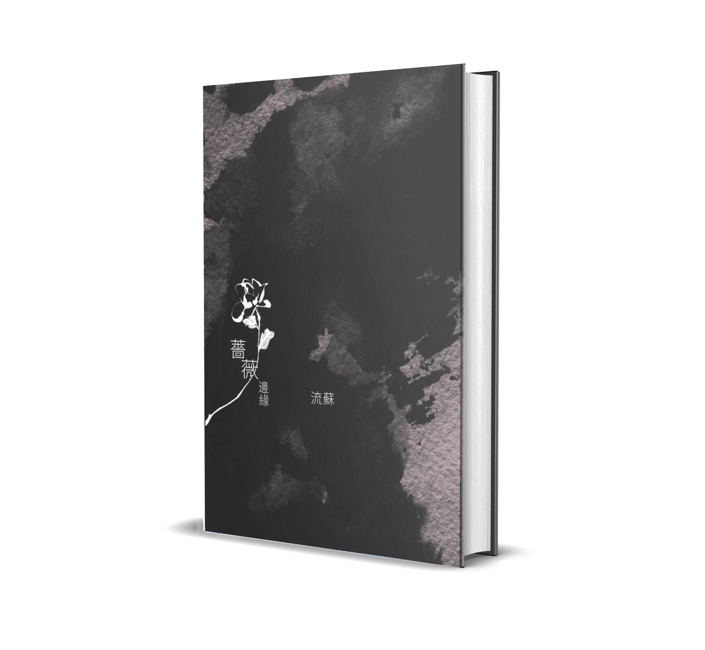 Book cover of 蔷薇边缘 by 流苏