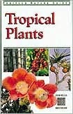 Book cover of Tropical Plants by Elizabeth Chan, Luca Invernizzi Tettoni