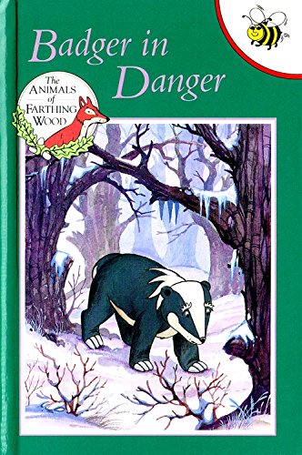 Book cover of Animals Of Farthing Wood Buzz Books: Badger In Danger by Mary Risk, Colin Dann