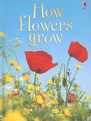 Book cover of How Flowers Grow by Emma Helbrough