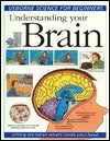Book cover of Understanding Your Brain by Rebecca Treays, N.J. Mackintosh