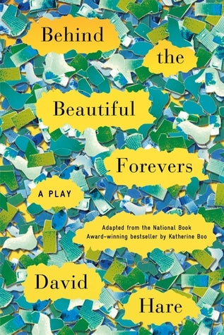 Book cover of Behind The Beautiful Forevers: A Play by David Hare