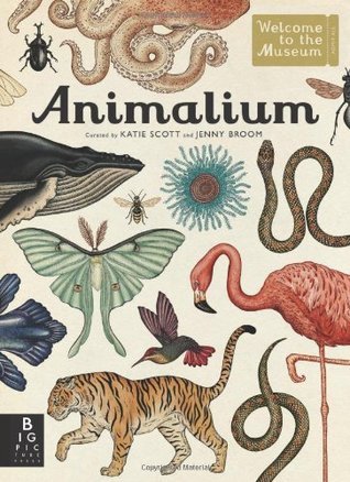 Book cover of Animalium by Katie Scott