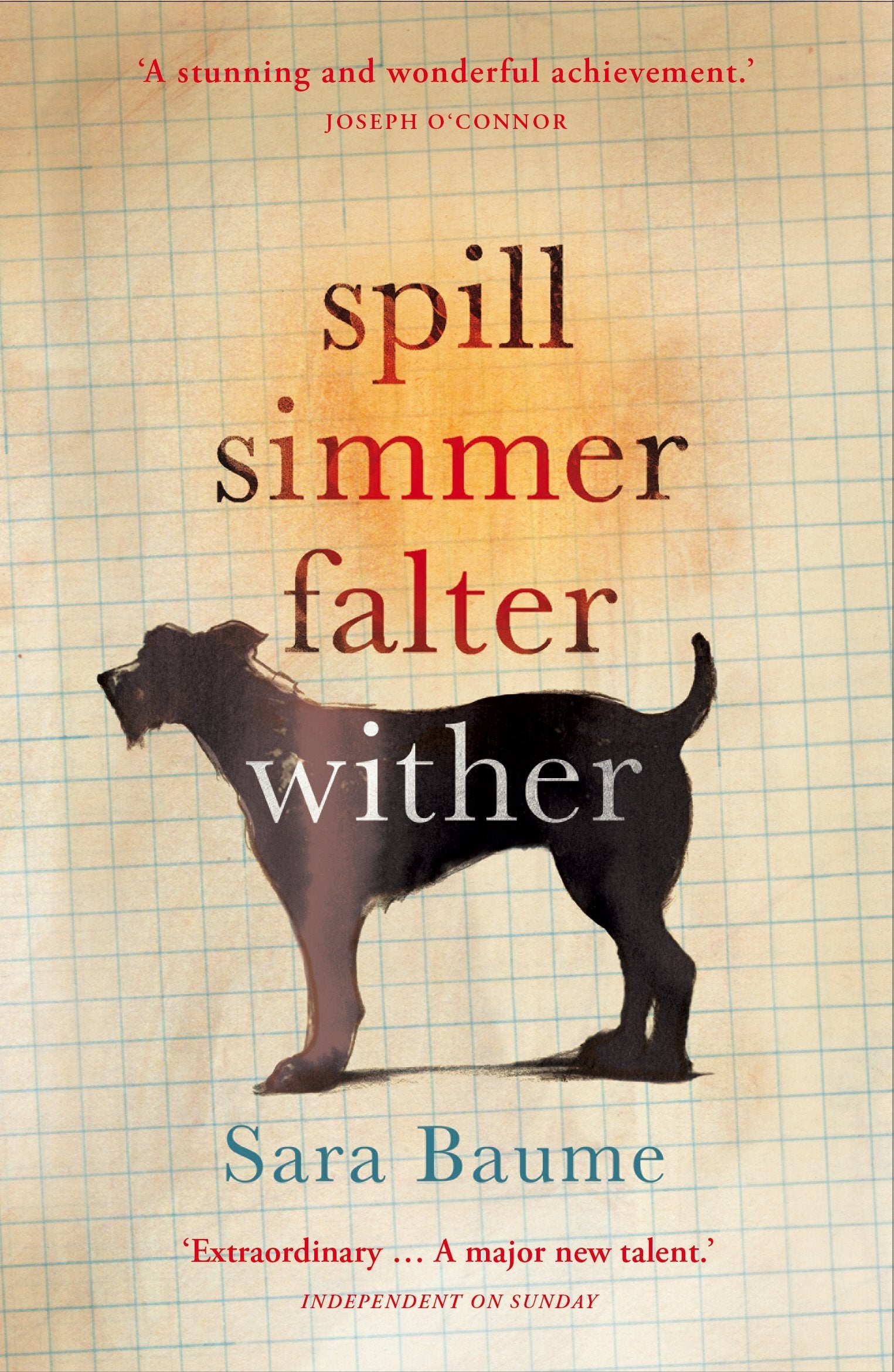 Spill Simmer Falter Wither by Sara Baume (9780099592747)