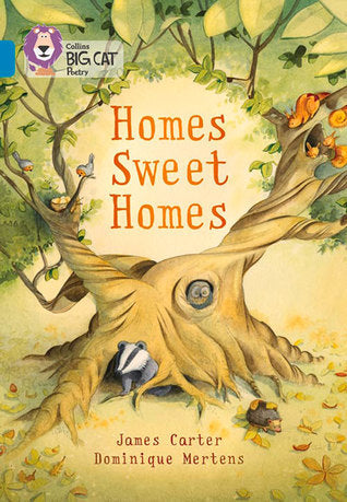 Book cover of Collins Big Cat ― Homes Sweet Homes: Turquoise/Band 07 by James Carter