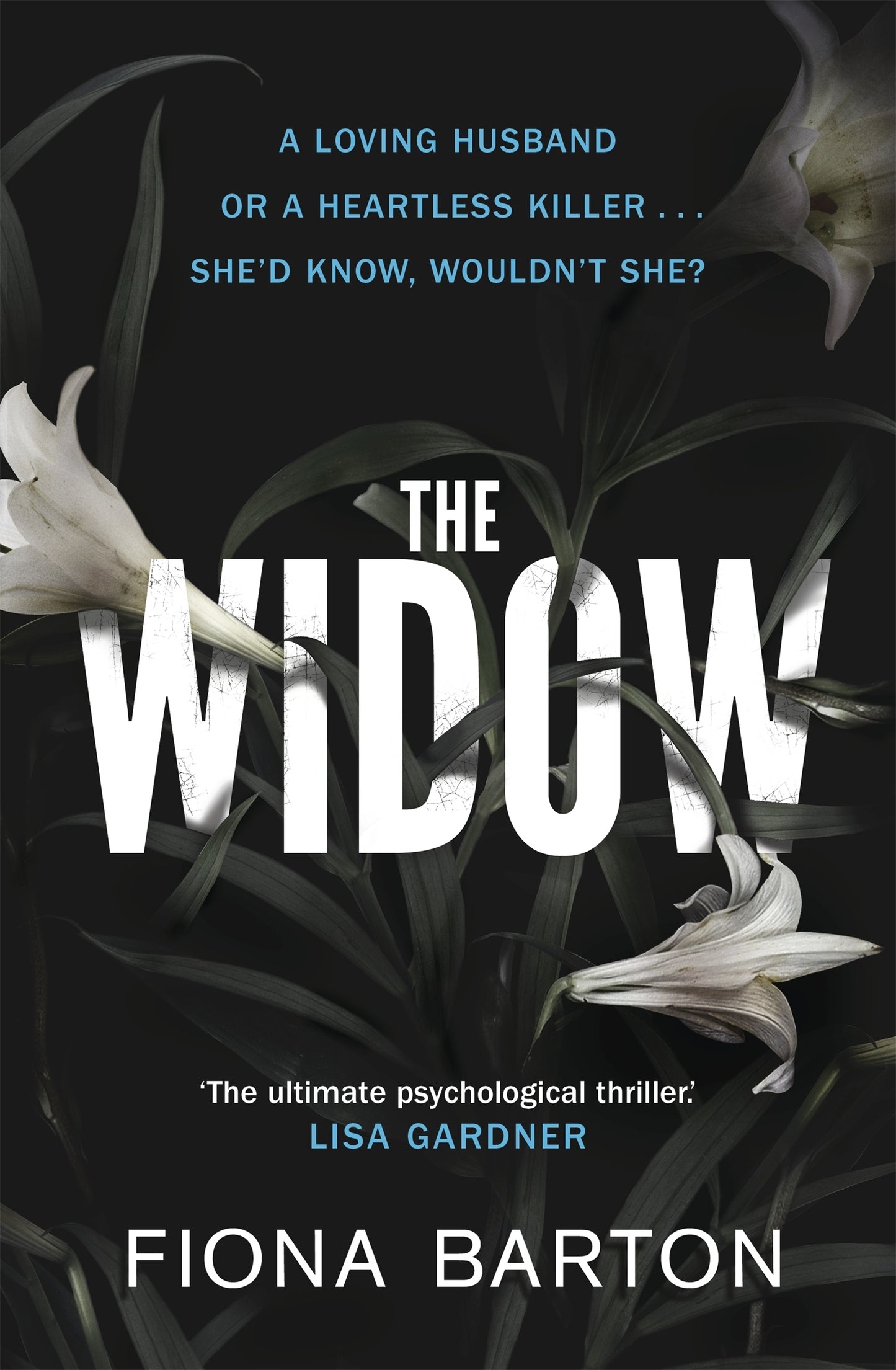 Book cover of The Widow by Fiona Barton
