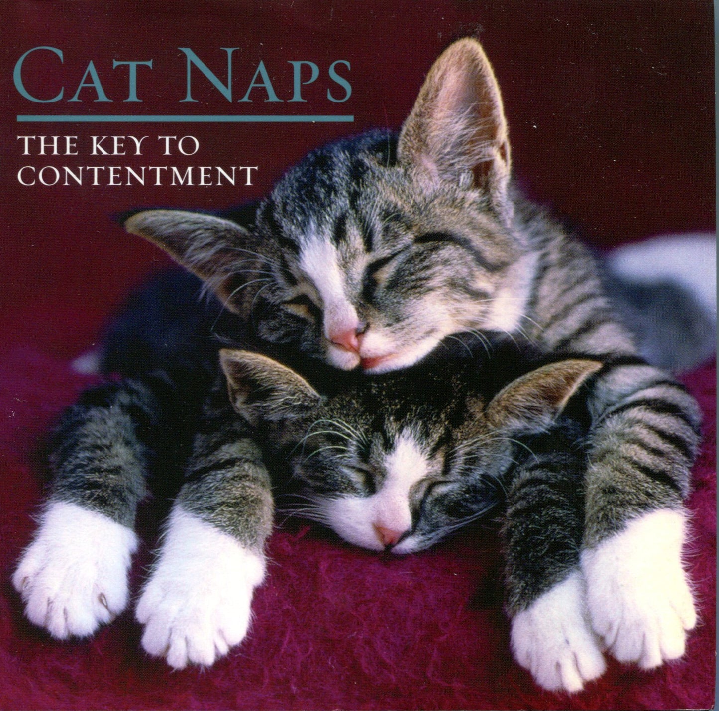Book cover of Cat Naps by Robin Haywood (Series editor)