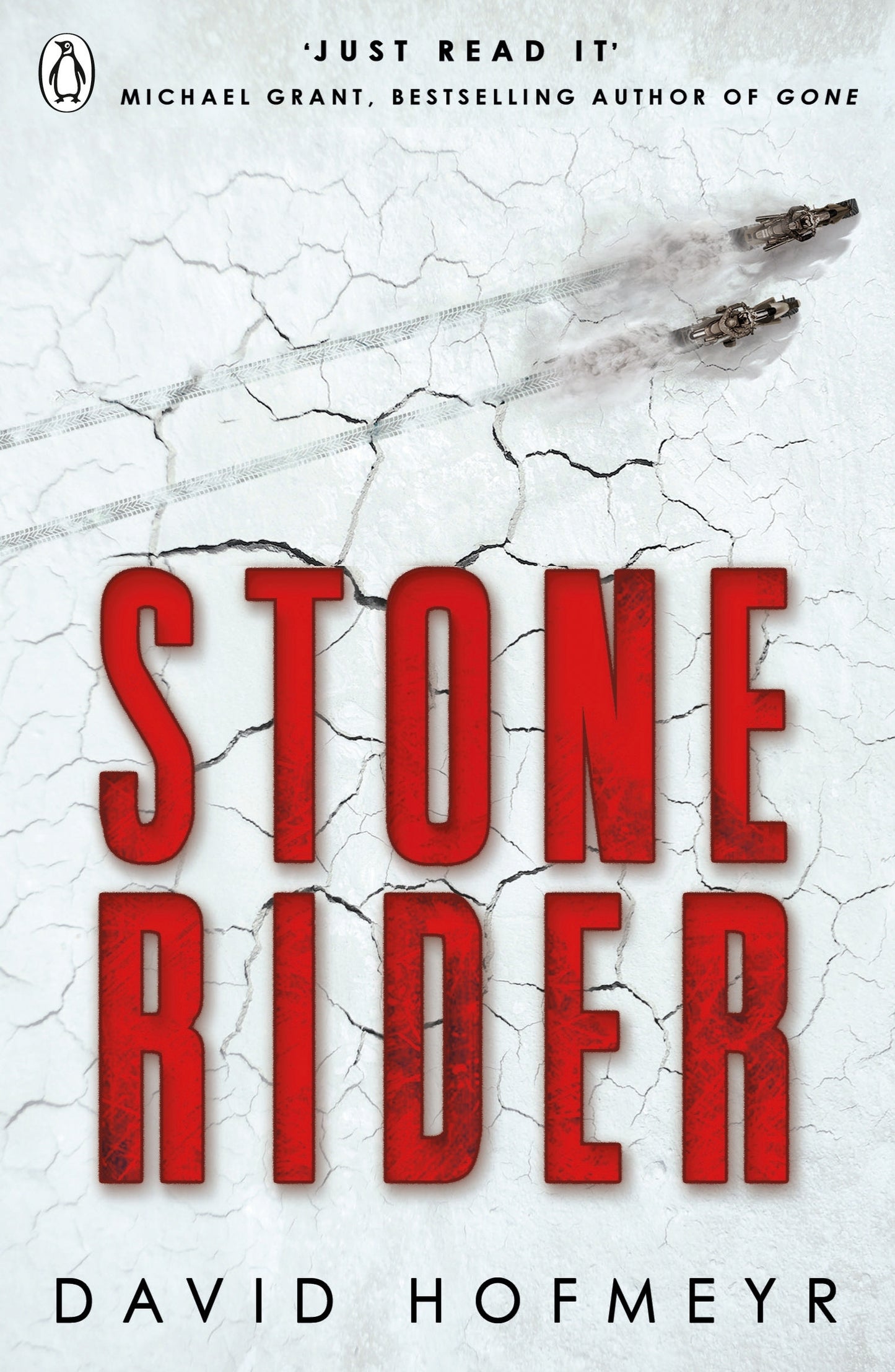 Book cover of Stone Rider by David Hofmeyr