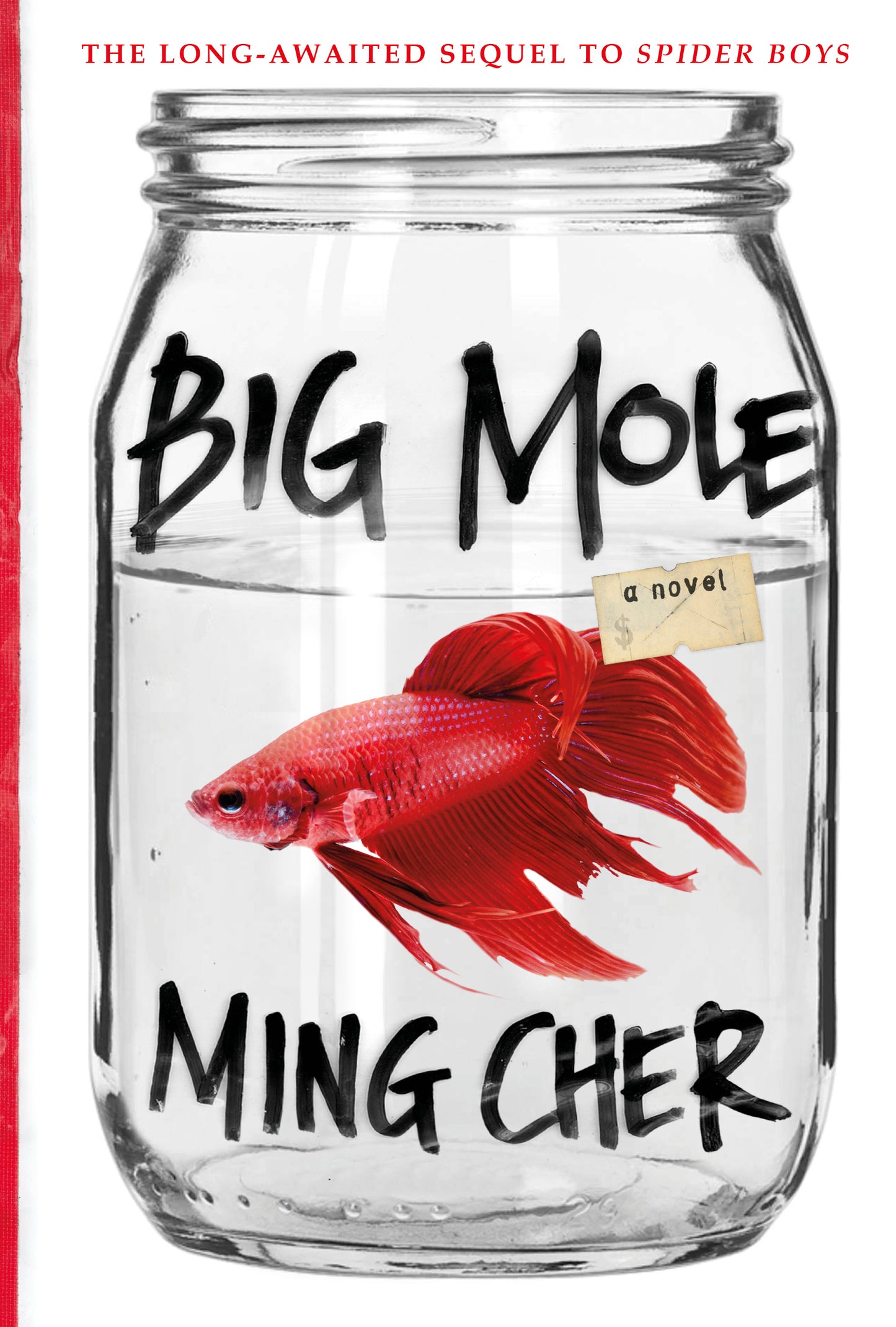 Book cover of Big Mole by Ming Cher