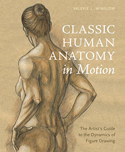 Book cover of Classic Human Anatomy In Motion: The Artist's Guide To The Dynamics Of Figure Drawing by Valerie L. Winslow