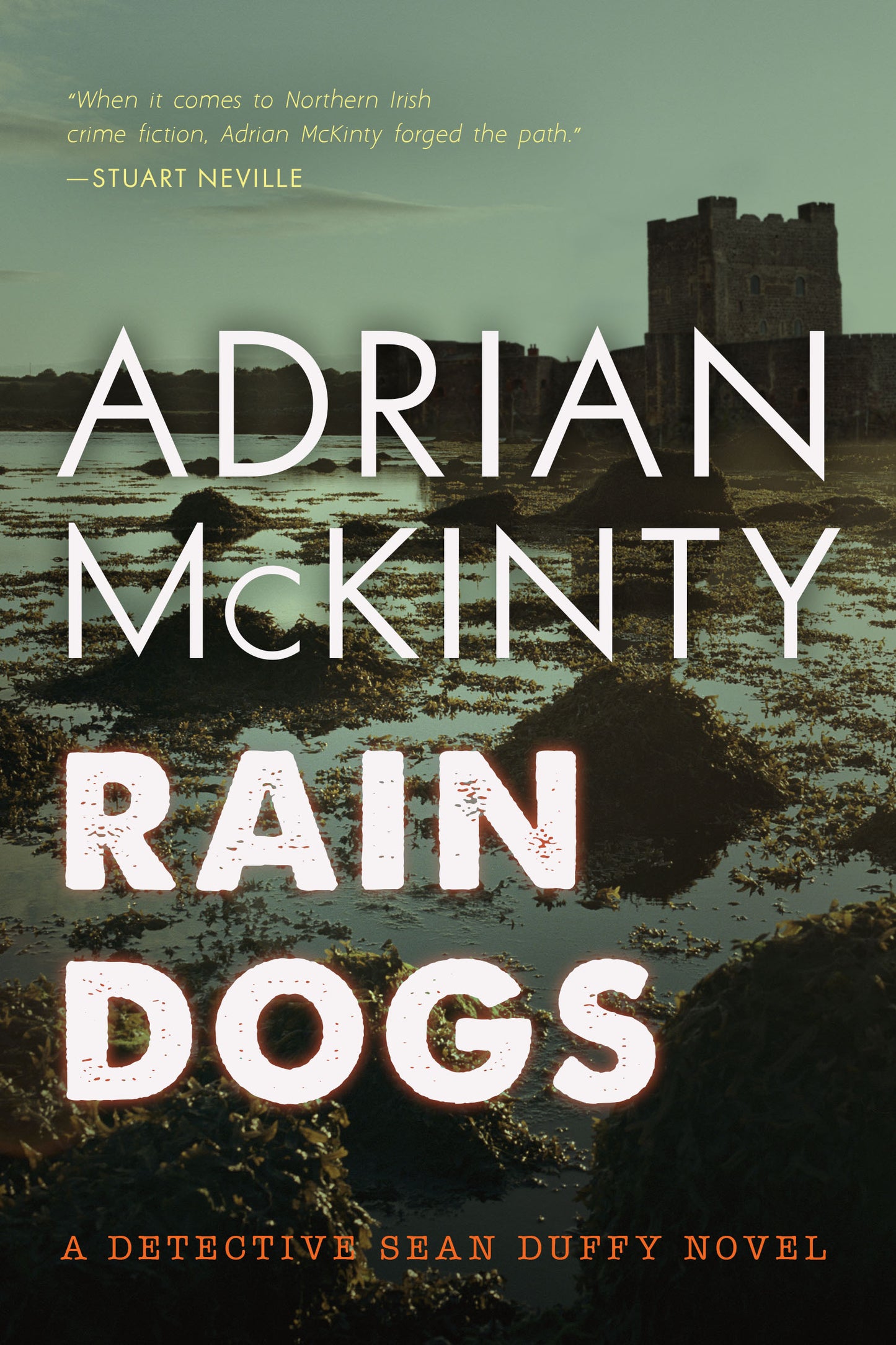 Book cover of Rain Dogs by Adrian McKinty
