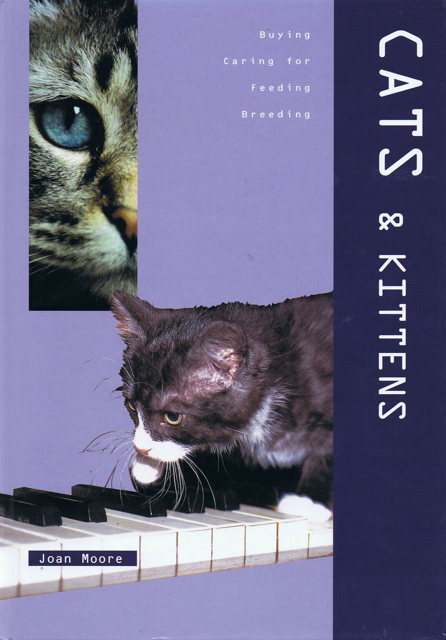 Book cover of Cats & Kittens by Joan Moore