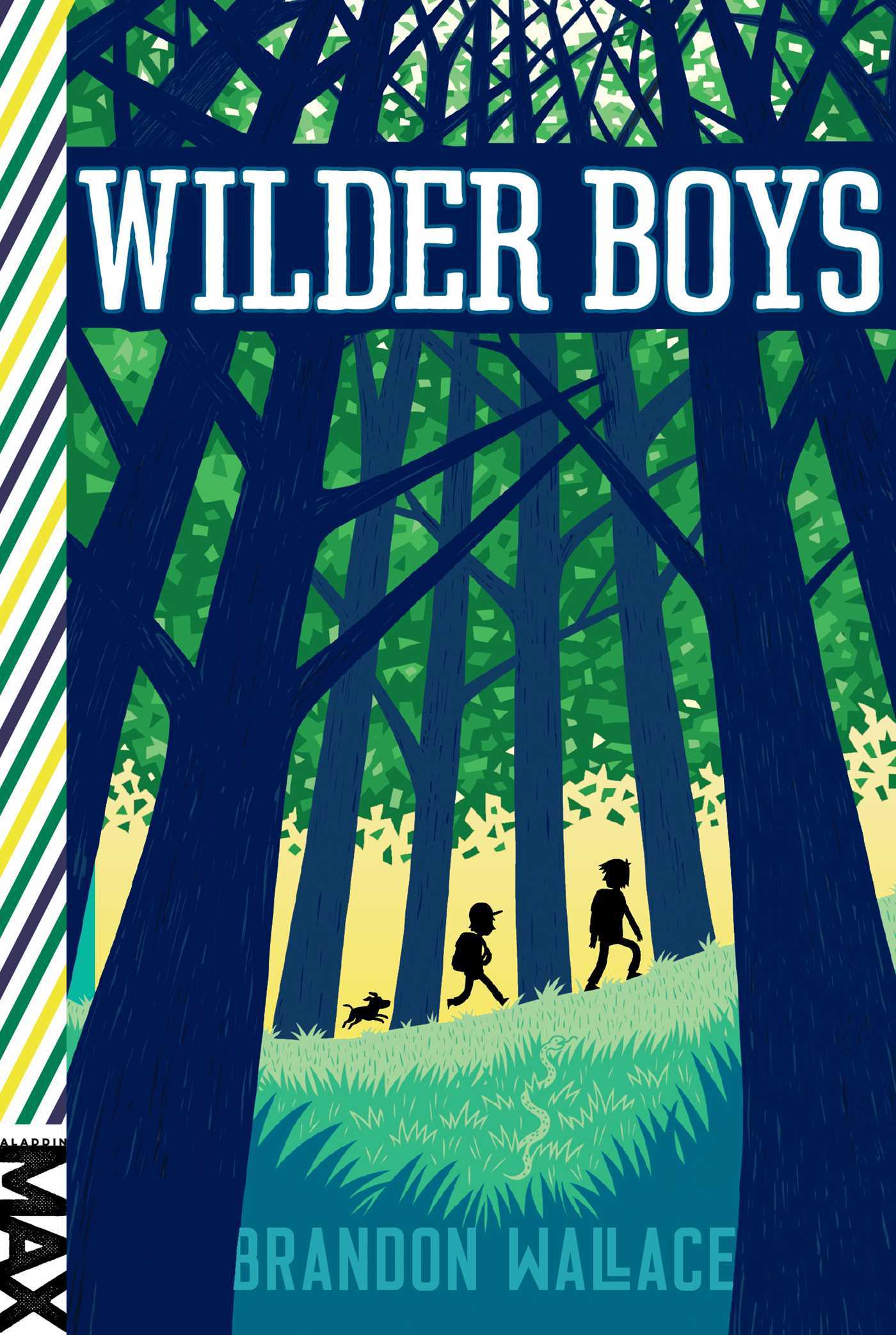 Book cover of Wilder Boys by Brandon Wallace