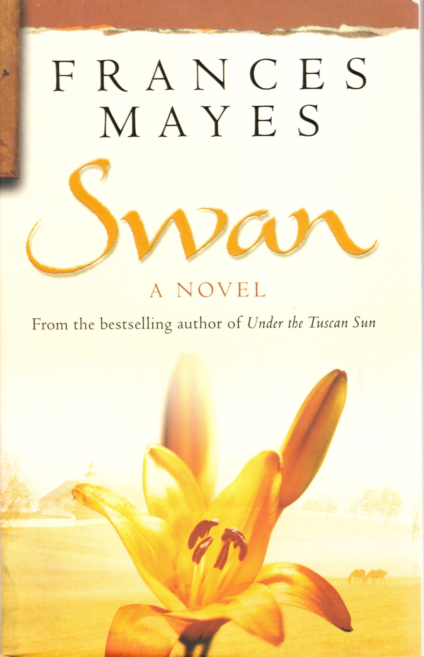 Book cover of Swan by Frances Mayes