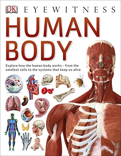 Book cover of Human Body by Various