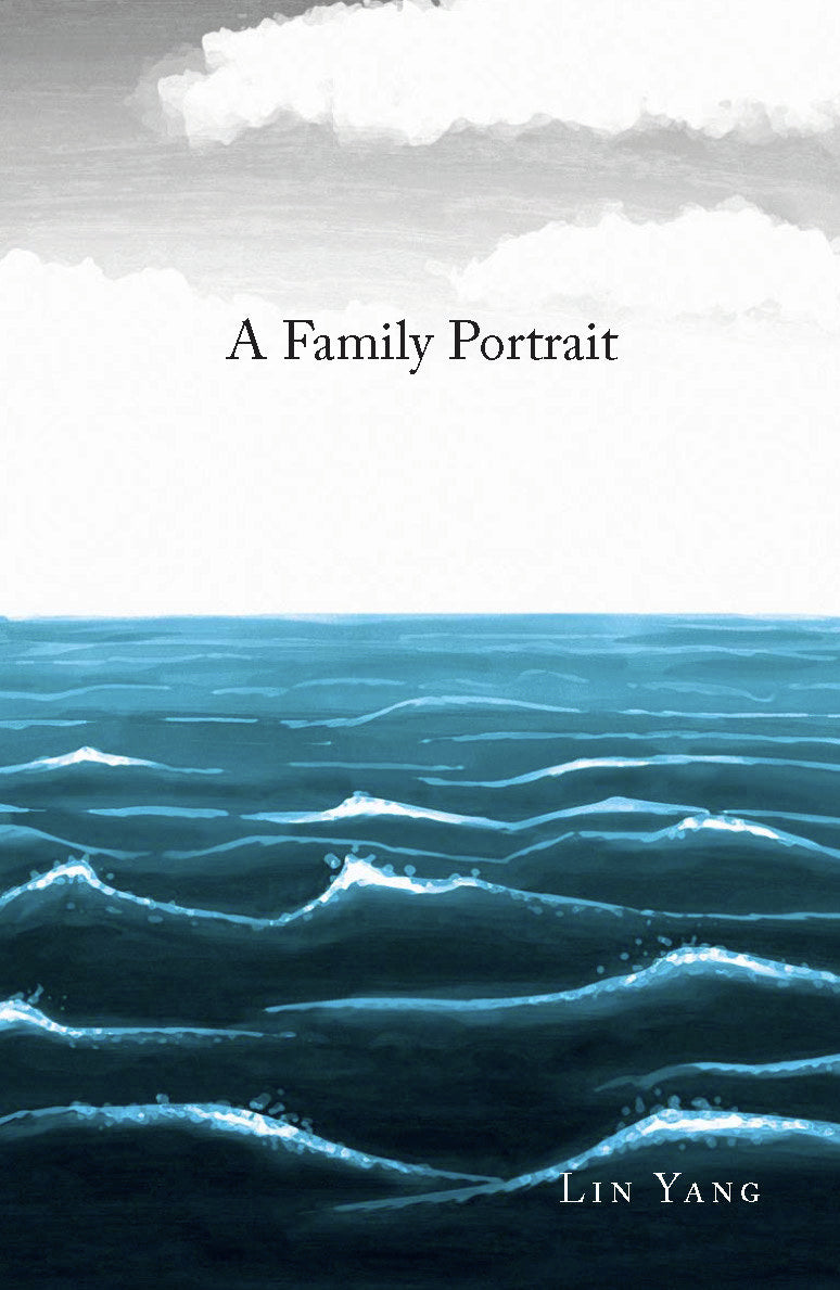Book cover of A Family Portrait by Yang Lin
