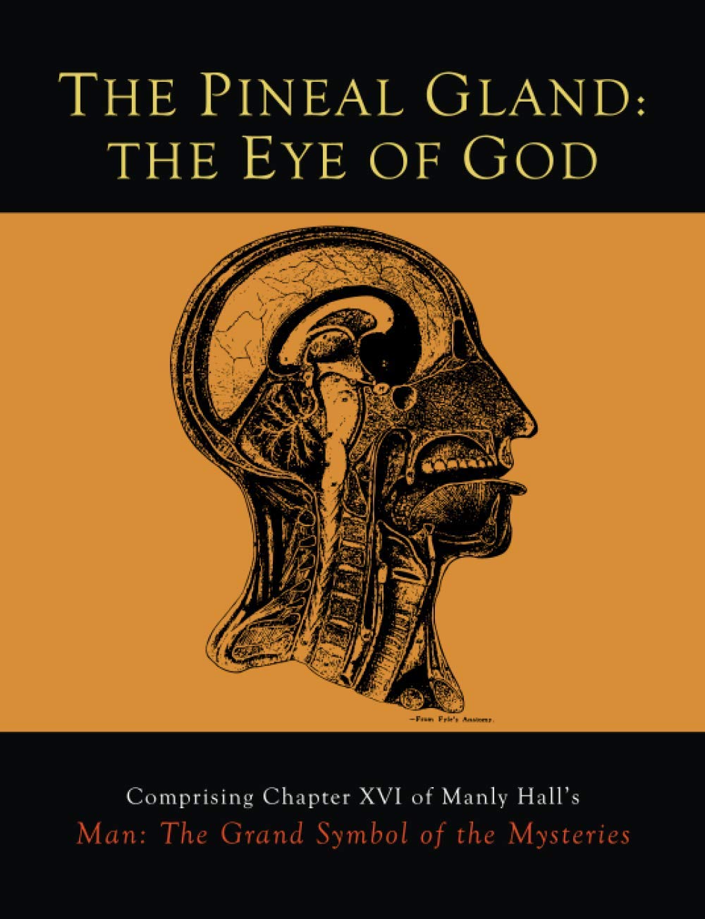 Book cover of The Pineal Gland: The Eye of God by Manly P. Hall