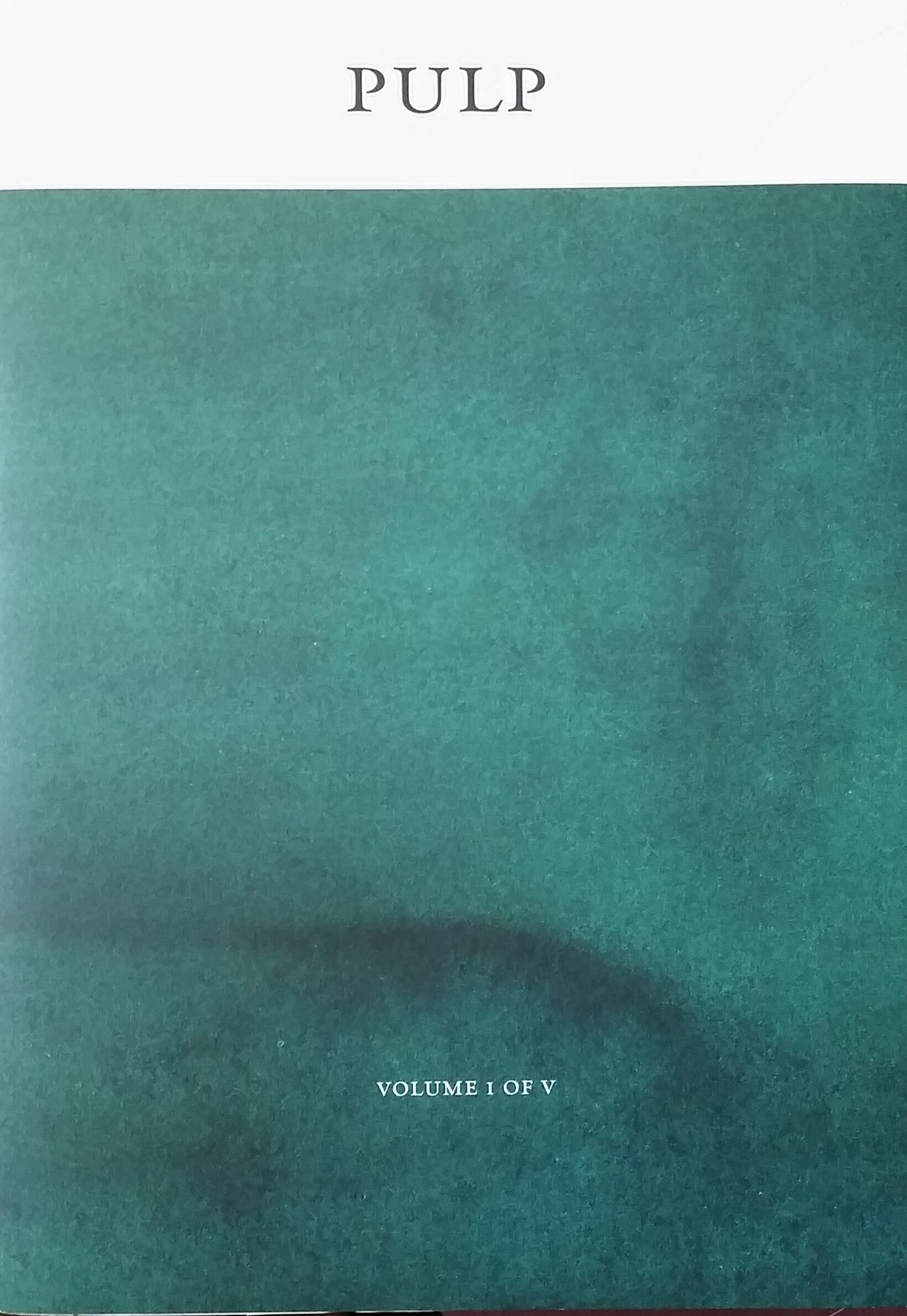 Book cover of Pulp: A Short Biography of the Banished Book. Vol I of V by Shubigi Rao