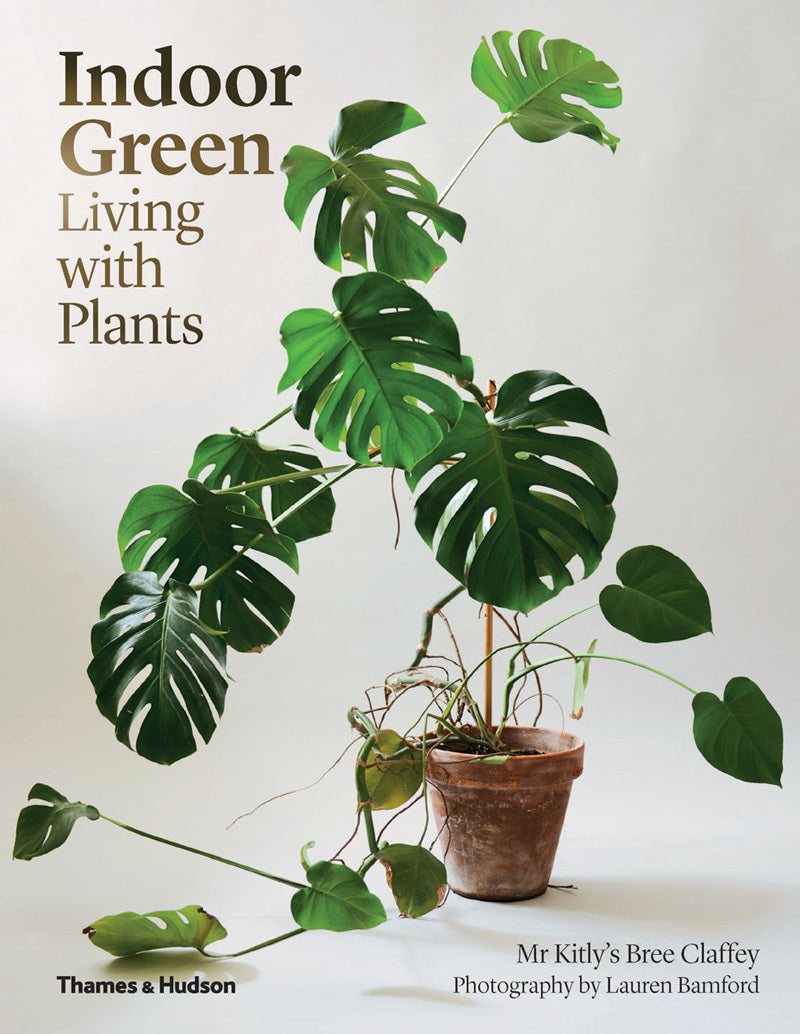 Book cover of Indoor Green: Living With Plants by Bree Claffey