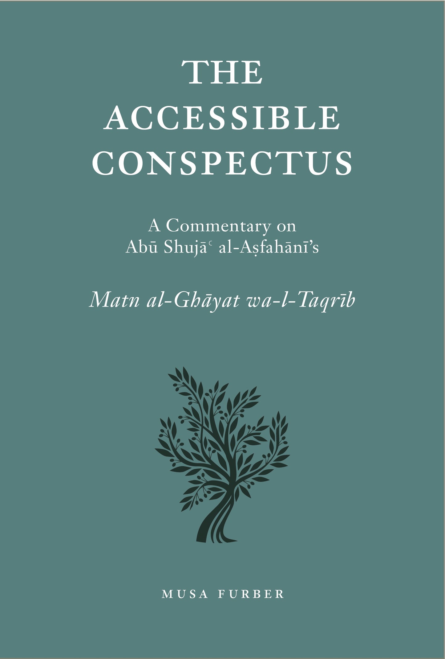 Book cover of The Accessible Conspectus by Musa Furber