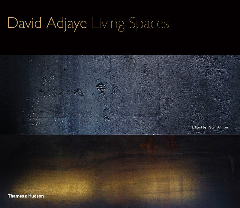 Book cover of David Adjaye: Living Spaces by David Adjaye, Peter Allison (Ed.)