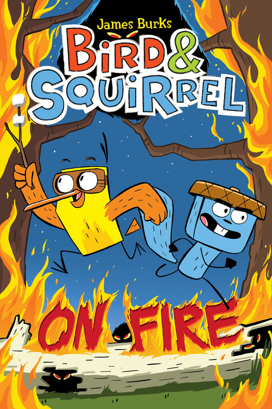 Book cover of Bird & Squirrel On Fire by James Burks