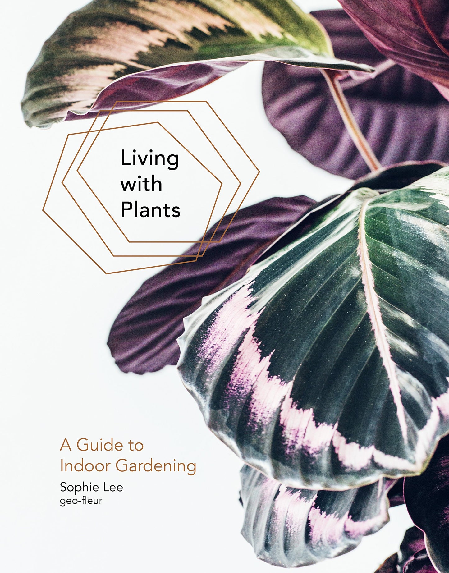 Book cover of Living With Plants: A Guide To Indoor Gardening by Sophie Lee