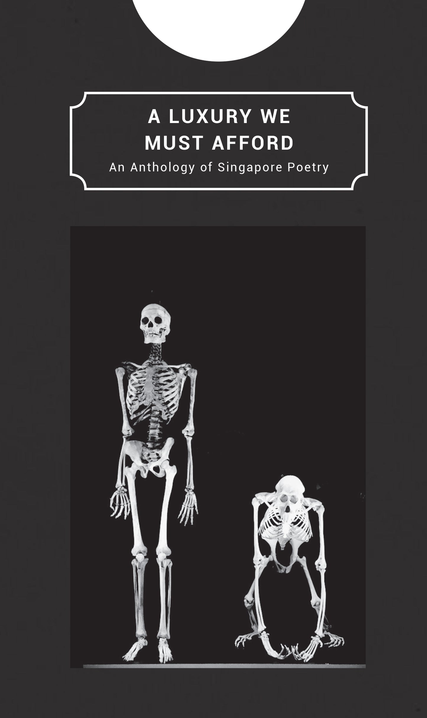 Book cover of A Luxury We Must Afford by Christine Chia (Ed.), Cheryl Julia Lee (Ed.), Joshua Ip (Ed.)