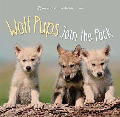 Book cover of Wolf Pups Join The Pack by American Museum of Natural History