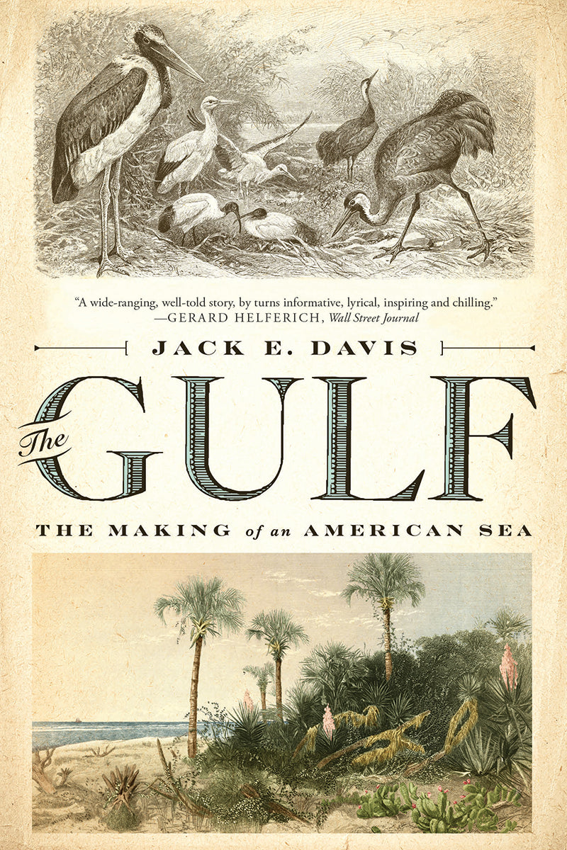 Book cover of The Gulf: The Making of an American Sea by Jack Emerson Davis