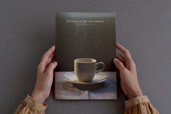 Book cover of Science of the Secondary: Cup by HOKO