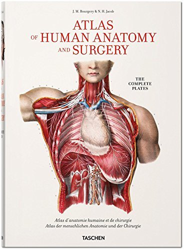 Book cover of Atlas Of Human Anatomy And Surgery / Atlas D'anatomie Humaine Et De Chirurgie / Atlas Der Menschlichen Anatomie Und Chirurgie by J. M. Bourgery, Henri Sick
