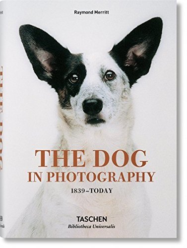 Book cover of The Dog In Photography / Der Hund In Der Fotografie / Le Chien Dans La Photographie: 1839-Today by Raymond Merritt