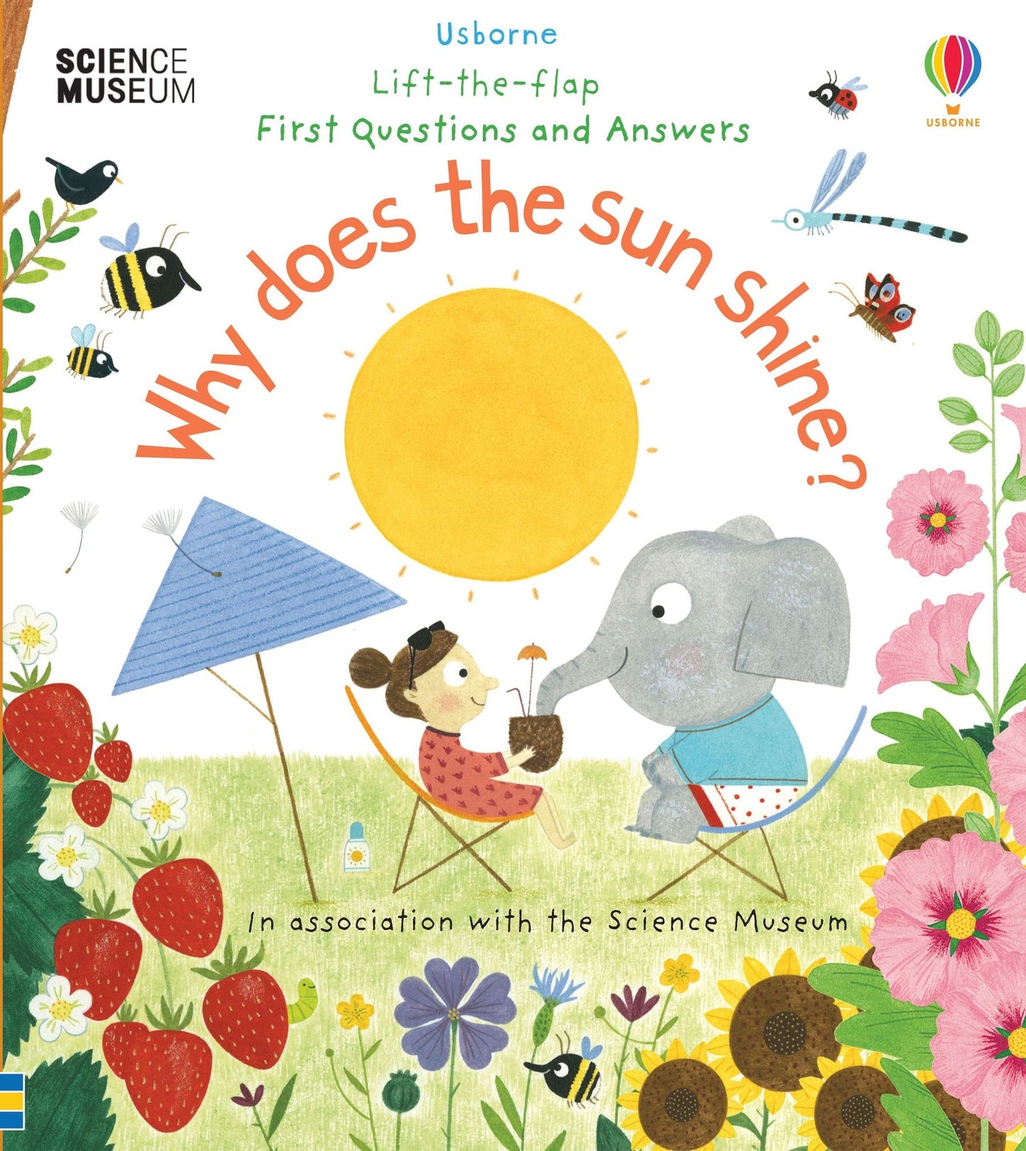 Book cover of First Questions And Answers: Why Does The Sun Shine? by Katie Daynes, Christine Pym (Illus.)