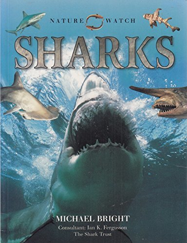 Book cover of Nature Watch Sharks by Michael Bright