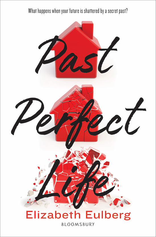Book cover of Past Perfect Life by Elizabeth Eulberg